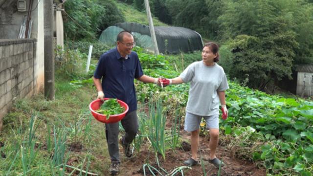 '인간극장' 옛 제자 만나는 영철 씨, 새벽부터 기다리던 정체