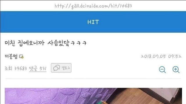 미친 집에오니까 사슴있다 ㅋㅋㅋㅋ