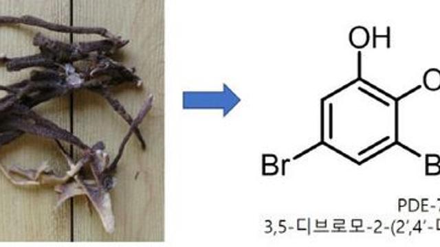 한국해양과학기술원, 당뇨병성 신장질환 치료 후보물질 개발에 참여