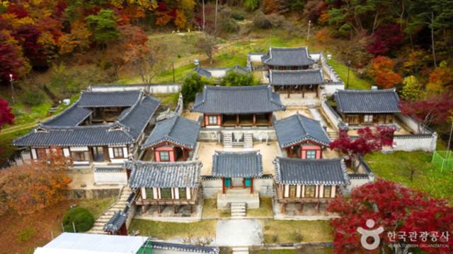 안동, 가을빛 물든 천년의 역사와 전통을 따라가는 문화 여행