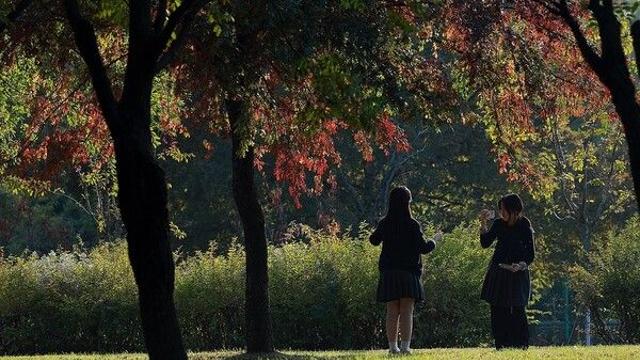 [날씨] 짙은 안개, 일교차 주의보 발령