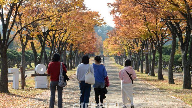 물러난 추위, 완연한 가을 날씨…