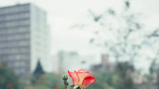 뉴비 XA작례 (23 pics)