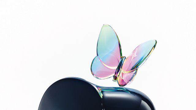 독서 필수 아이템, 문진