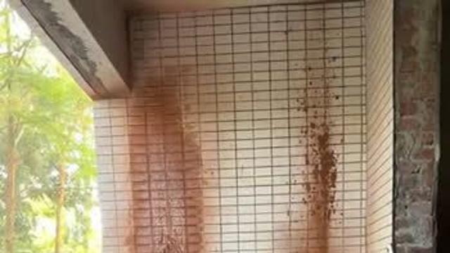 일하다가 두동강 날 뻔