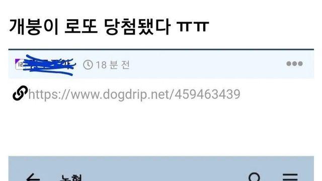 로또 1등 당첨되면 받는 카톡