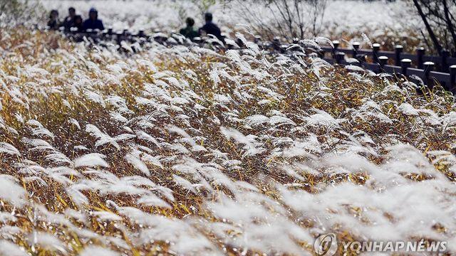 대구·경북 대체로 맑아…낮 기온 19∼21도
