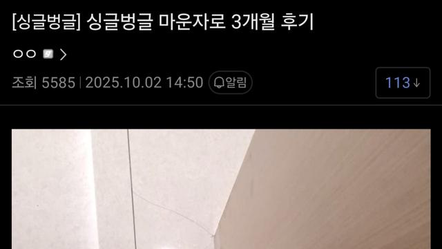 150kg 디시인의 마운자로 3개월 후기