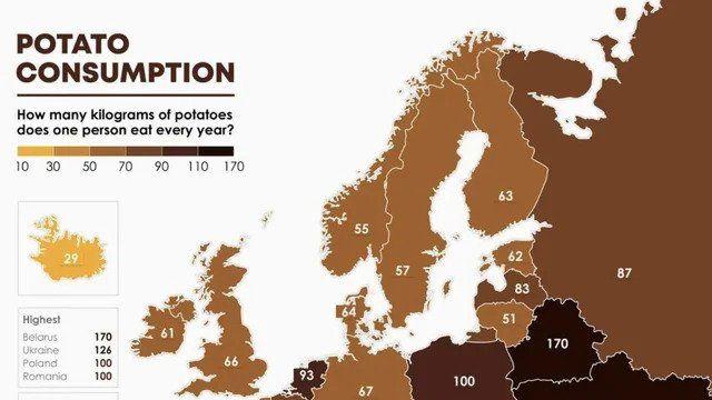 한국인 쌀 소비량을 넘어서는 유럽인들의 진정한 주식 