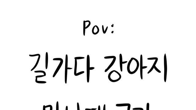 길가다 강아지 만날 때 공감