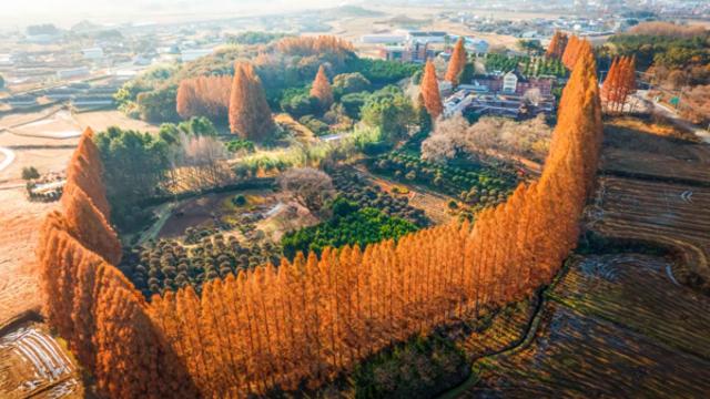 익산에서 만나는 가을의 맛과 멋, 특별한 체험이 있는 기행