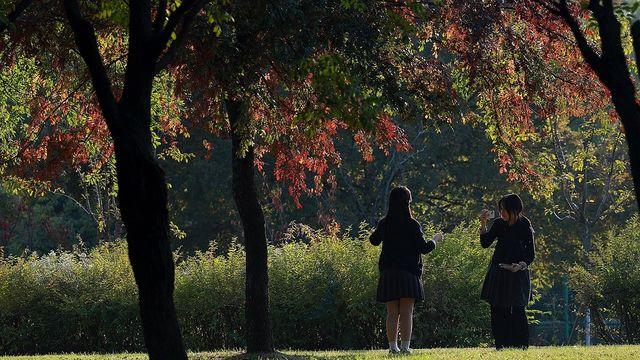 [날씨] 내륙 중심으로 짙은 안개…큰 일교차 주의