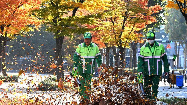 또 월요일 추위…주말 비온 뒤 초겨울 날씨 온다