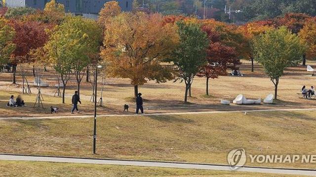 전북 낮 기온 19∼21도…내륙에는 안개