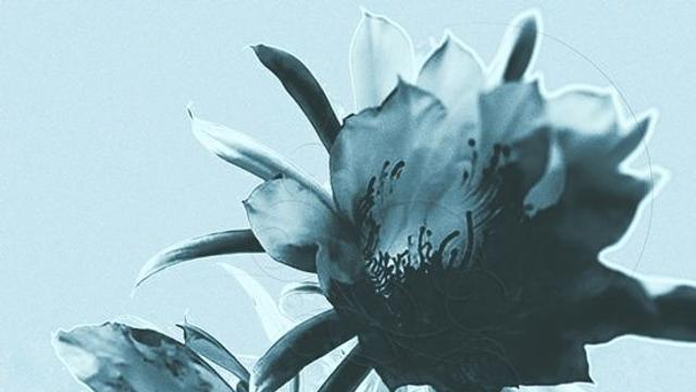 그리즐리, 새 EP '꽃zip4' 발매…배우 정지소 듀엣곡 수록