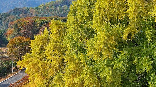 강원 낮 최고 20도…일교차 커 건강관리 유의