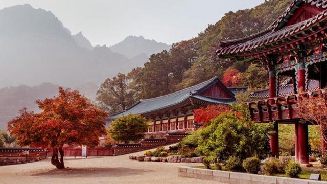 “알고 보니 '가을동화' 촬영지였네”… 90년대 수학여행 성지로 떠오른 이곳