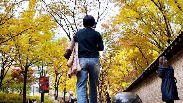 금요일 '입동'에도 춥지 않은 가을 날씨…낮 최고 17∼22도