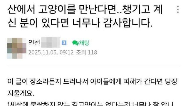 [스압] 산에 사는 길고양이들에게 먹이 주는 캣맘
