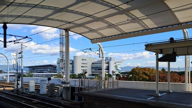 스압)교토 레이스장 보러갔다온 후기