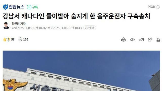또 음주운전.. 강남서 캐나다인 차에 치여 숨져