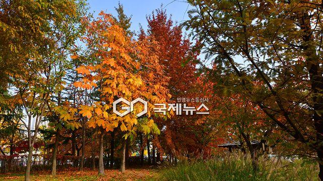 [오늘날씨] '입동' 전국 맑고 수도권 미세먼지 나쁨...서울 낮 20도-전주 21도