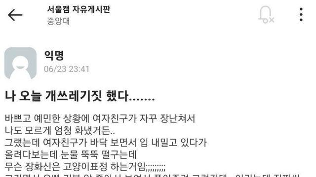 개쓰레기짓을 고백