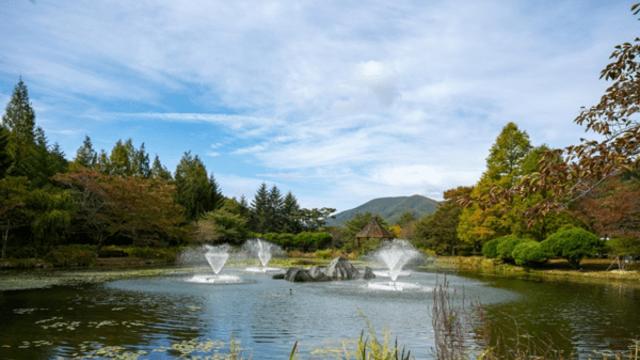 자연의 품에 안긴 포항의 가을, 아름다운 풍경 속으로 떠나는 기행