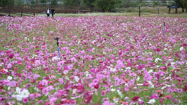부산·울산·경남 대체로 구름 많아…밤낮 기온 차 커