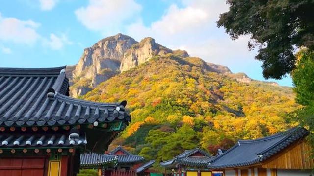 “단풍의 진수 느낄 수 있다”… 전남이 추천한 가을 힐링여행지 4곳