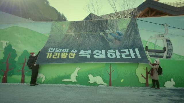 [미리보기]올림픽과 맞바꾼 가리왕산