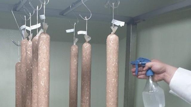 농진청, 소시지 곰팡이 99.9% 억제 유산균 발견…식품 폐기 위험↓