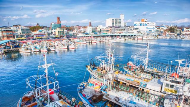 강릉의 바람이 전하는 이야기, 동해 바다와 미식의 가을 여행