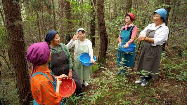 한국기행 반짝, 열려요 4부 바람골 언니들