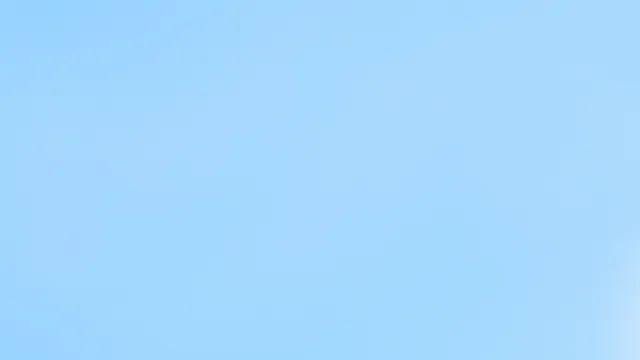 최근 찍은 신선한 커엽새 모음