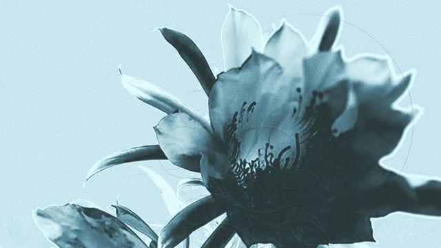 그리즐리, 오늘(6일) ‘꽃zip4’ 발매…정지소 듀엣곡 수록