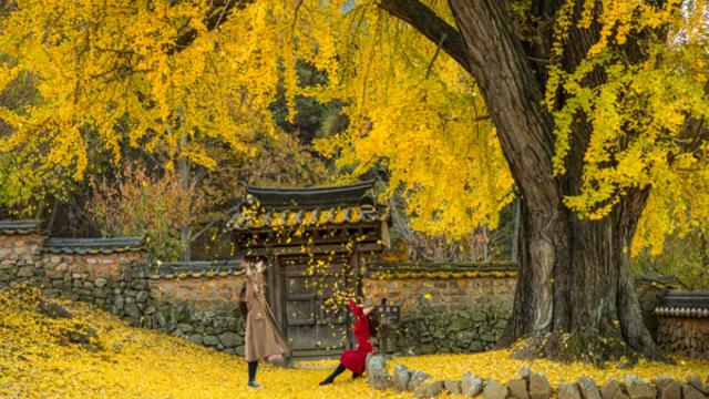 밀양의 가을, 자연과 역사가 함께하는 평화로운 여행의 순간
