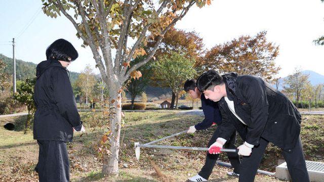 영양군, 숲 가꾸기날 행사