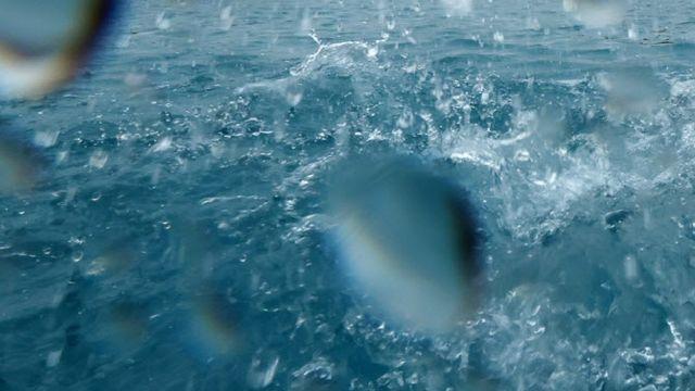 '게임 지면 입수' 장애인 숨지게한 20대…법원은 