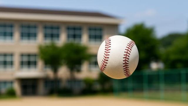 날아온 야구공에 5세 두개골 골절… 법원이 내린 판결은?