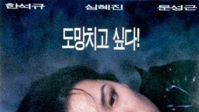 필모에 거를타선없는 한국 영화감독