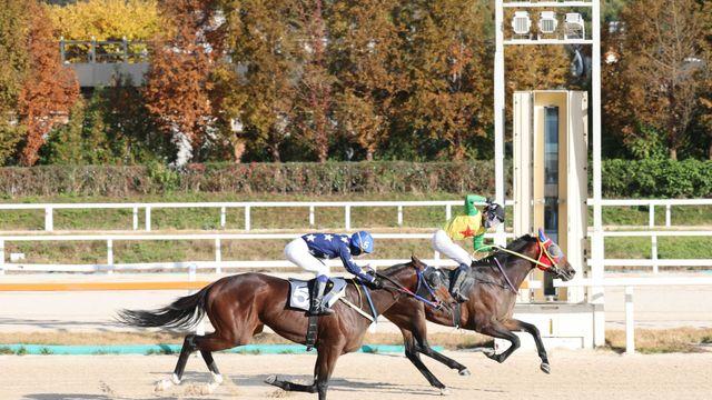 ‘비에스스톰’의 짜릿한 역전승으로 끝난 기대주들의 치열했던 경주