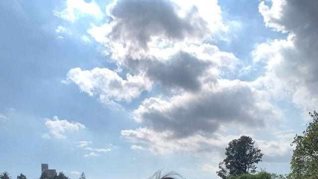 카리나가 올가을 내내 돌려입을 '이 치마'는?