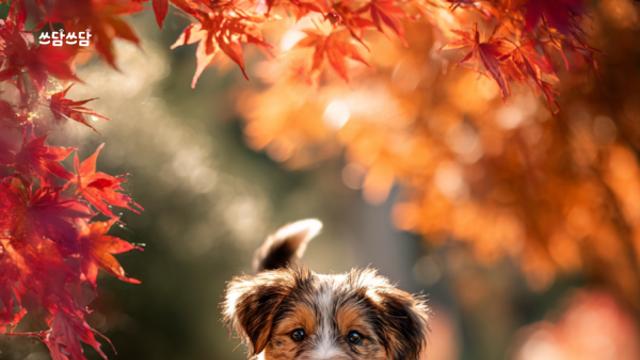 ????쓰담 카드뉴스 환절기 위생관리! 나는 잘 하고 있을까?