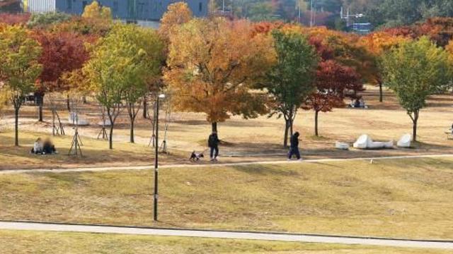 [내일날씨] 입동에도 낮엔 '포근'…대기질은 탁해