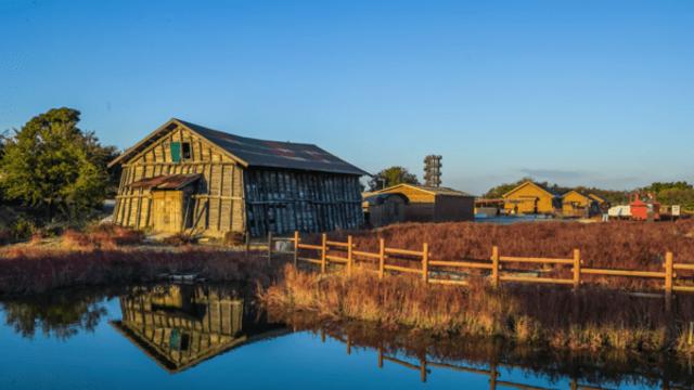 가을이라 더 아름다운 시흥 갯골생태공원의 고즈넉한 풍경