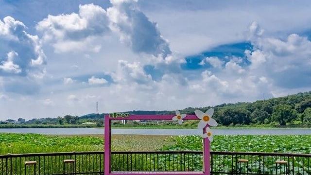 화성 가볼 만한 곳, 자연과 역사가 숨 쉬는 풍경