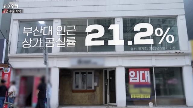 망해가는 부산 근황