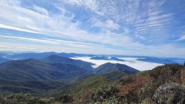 [날씨] 구름 가득한 금요일, 강원영동 비 소식