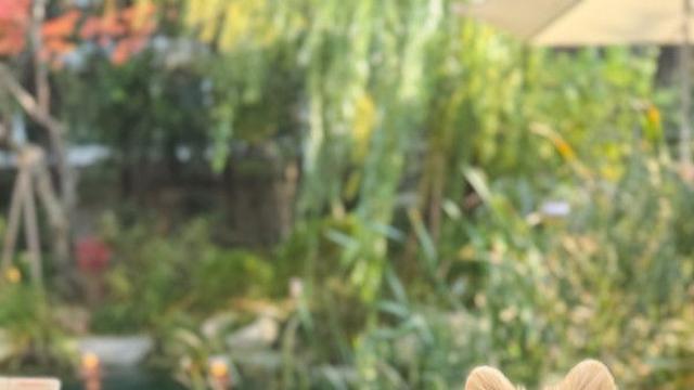 블랑인 동남아 다녀왔어요????